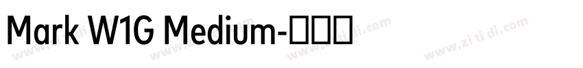 Mark W1G Medium字体转换